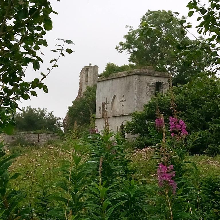 Galway Glamping Tuam Exterior foto